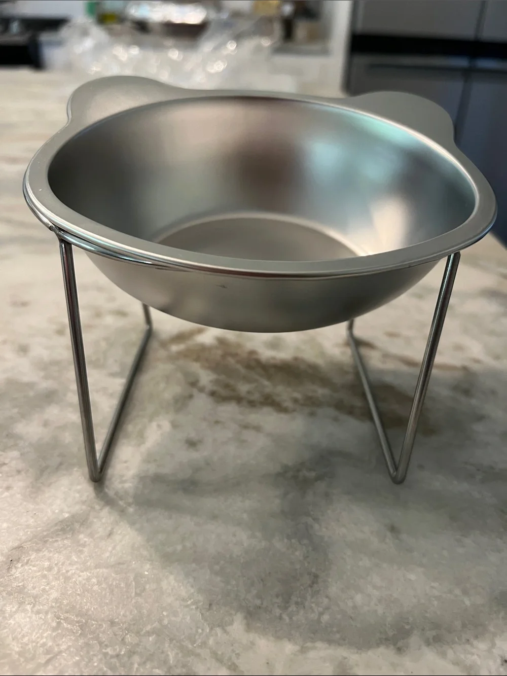 Silver Elevated Pet Bowl Set of 2